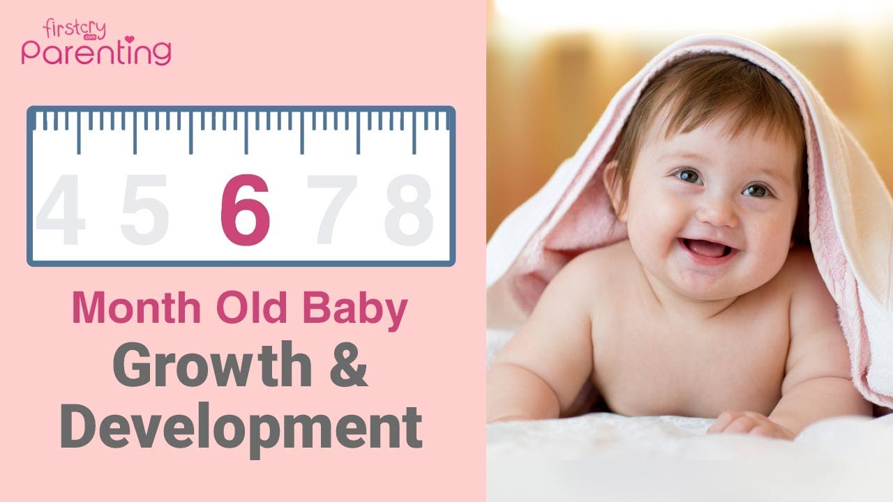 Your 6 Month Old Baby Growth and Development