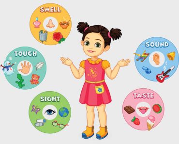 10 Amazing 5 Senses Activities For Preschoolers And Toddlers